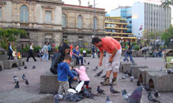 Picture of a family sightseeing in San José, Costa Rica and feeding birds in the Teatro Nacional park.