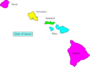Picture of the hawaii state.